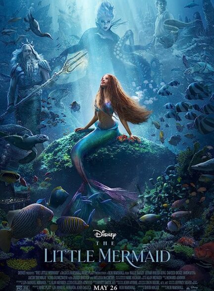 دانلود فیلم The Little Mermaid 2023 با زیرنویس چسبیده